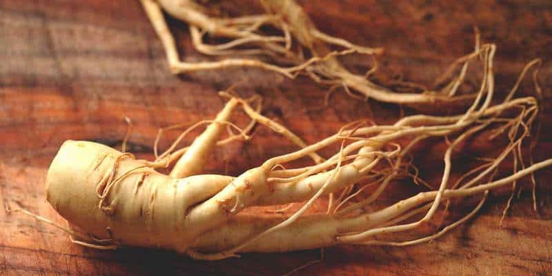 ginseng untuk stroke
