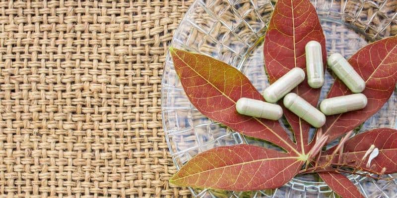 Cara Alami Mengobati Kanker