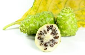 Buah Noni (Credit: LIKIT SUPASAI / Shutterstock)