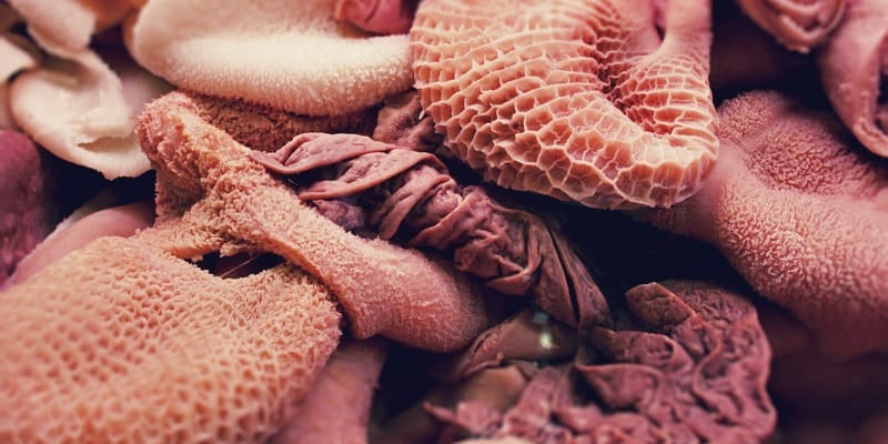 Jeroan, Salah Satu Makanan Penyebab Kanker Rektum