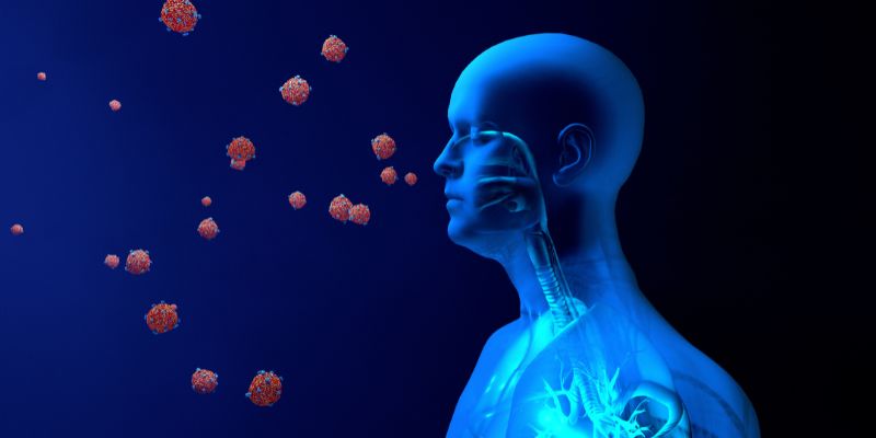 Ilustrasi Cara Penularan Penyakit Hantavirus