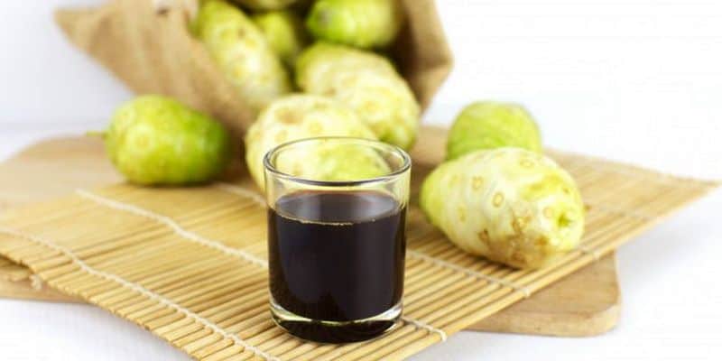Noni Juice sebagai Obat Alami Radang Pankreas