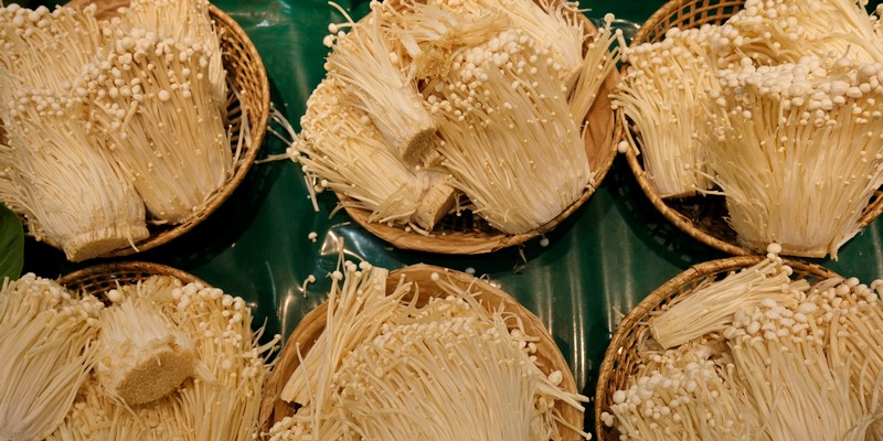Jamur Enoki