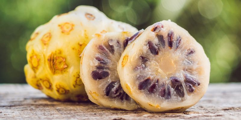 Noni Juice sebagai Herbal Gangguan Pernapasan