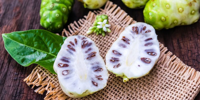 Noni Juice sebagai Herbal Peningkat Massa Otot