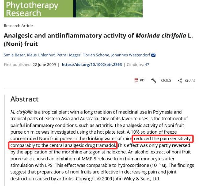 Manfaat Analgesik Noni Juice sebagai Herbal Artritis