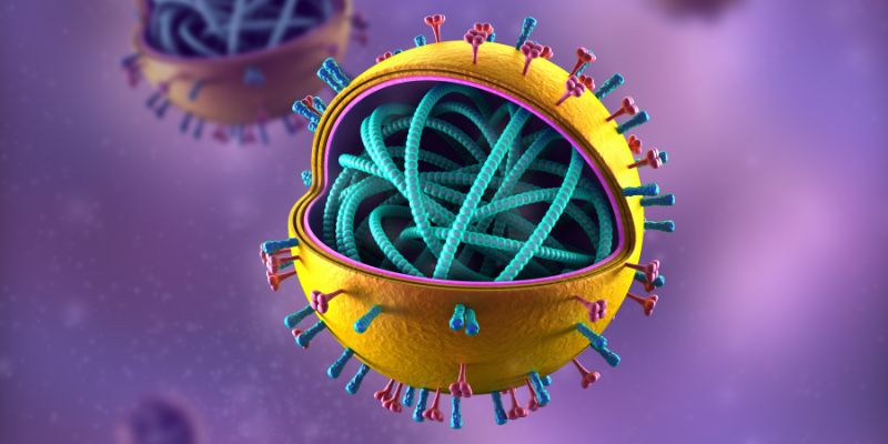 Flu Burung Disebabkan oleh Virus H5N1