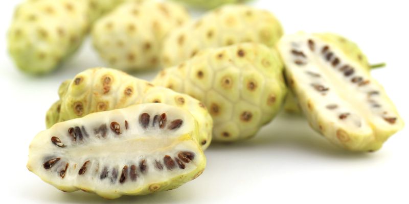 Ilustrasi Noni Juice sebagai Herbal Penyakit Ginjal