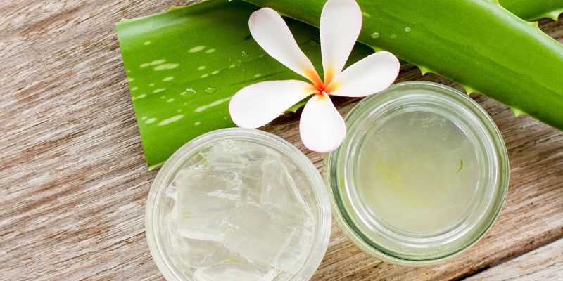 Lidah Buaya untuk Cara Meratakan Warna Kulit