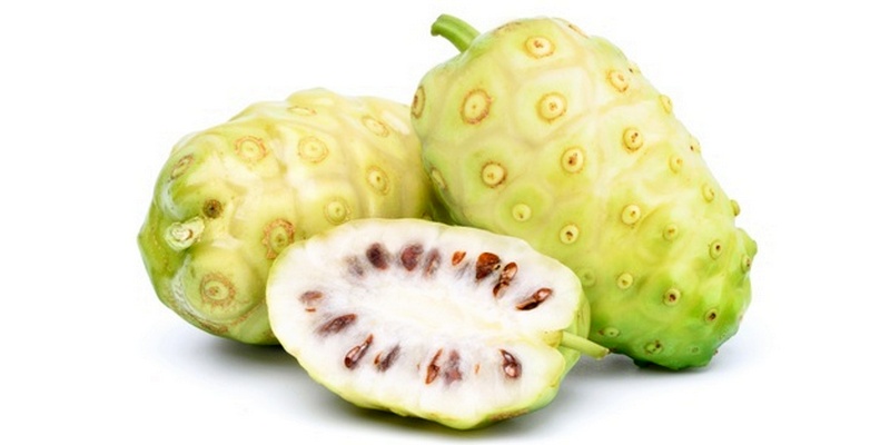 buah mengkudu untuk ramuan herbal limpa bengkak