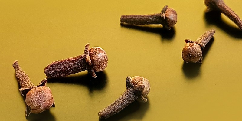 Ilustrasi Minyak Cengkih, Alternatif Obat Sakit Gigi di Apotik