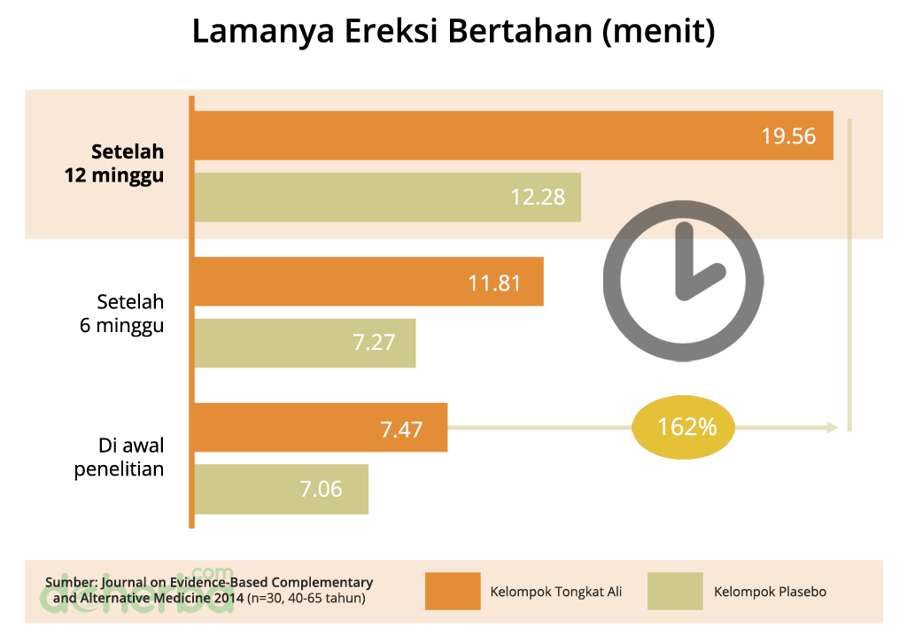 Pengaruh khasiat Tongkat Ali kapsul pada lamanya ereksi