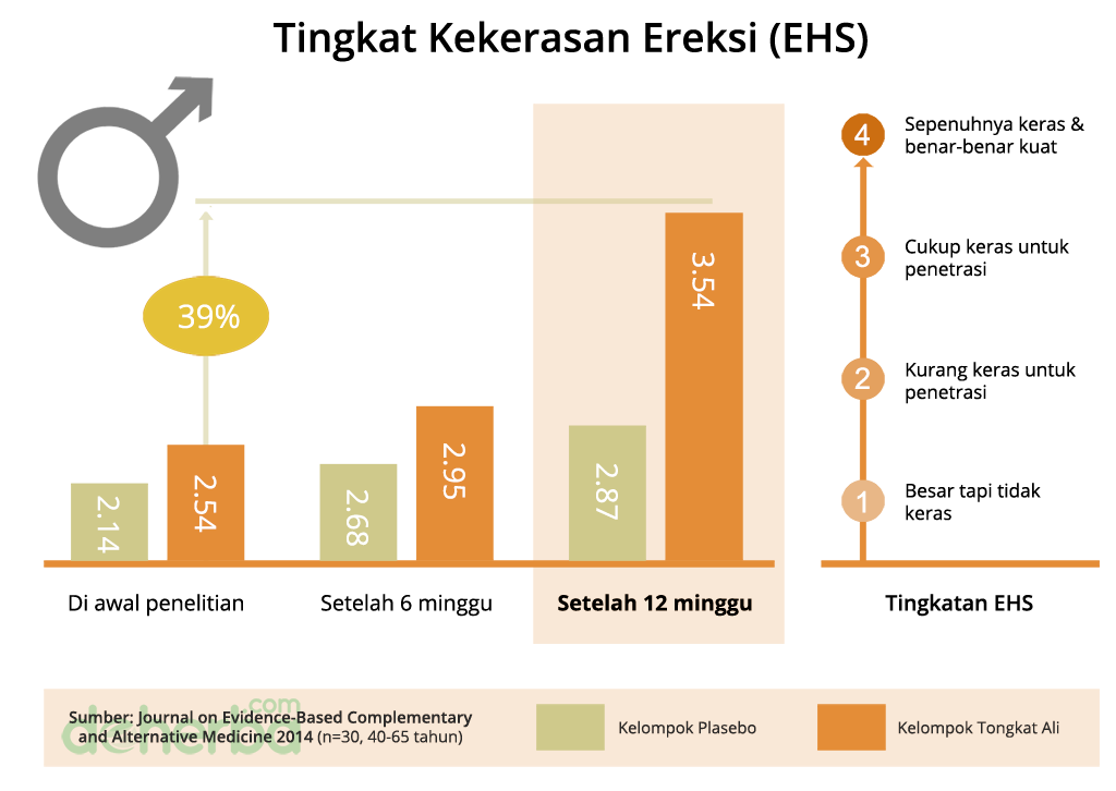Pengaruh khasiat Tongkat Ali kapsul pada tingkat kekerasan ereksi
