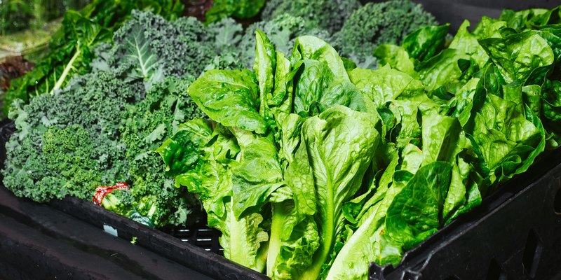 Ilustrasi Makanan yang Baik untuk Penderita Glaukoma