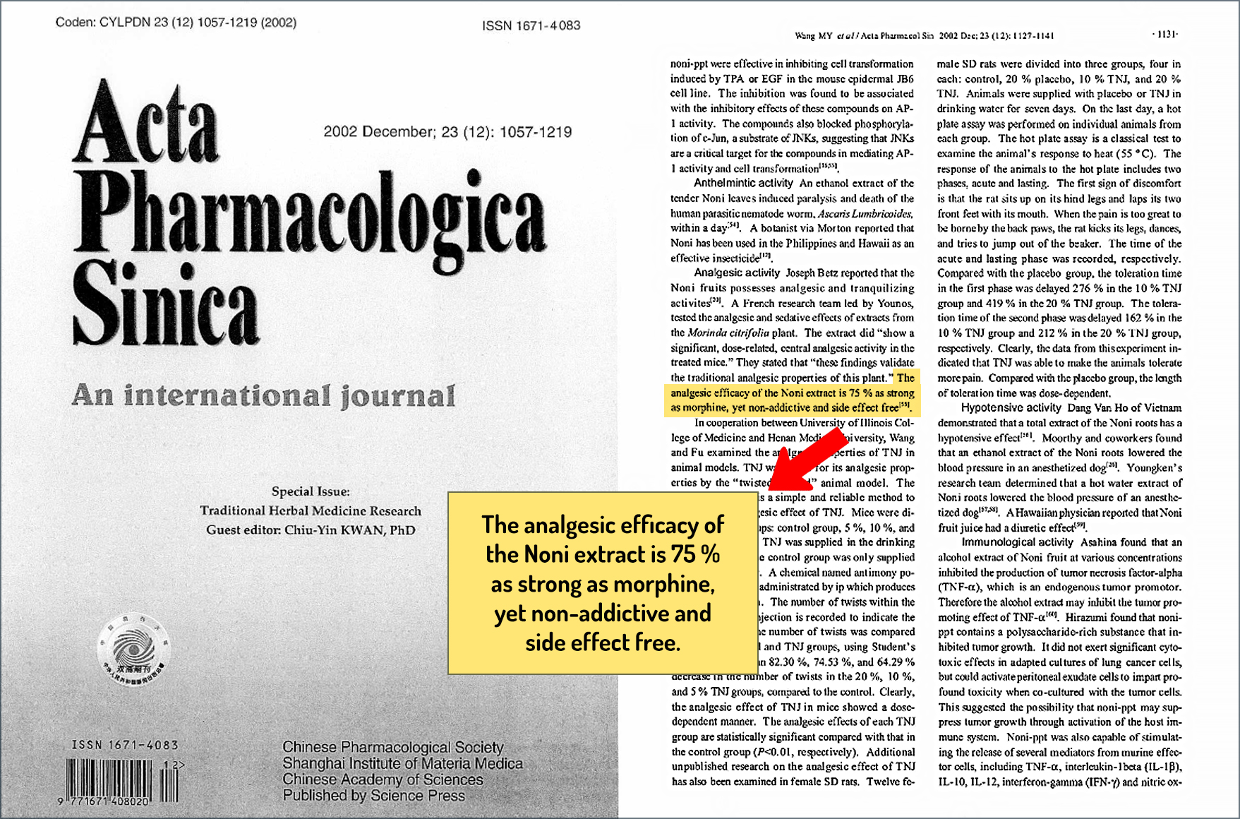 Khasiat obat pereda nyeri alami Noni 75 % sekuat morfin.