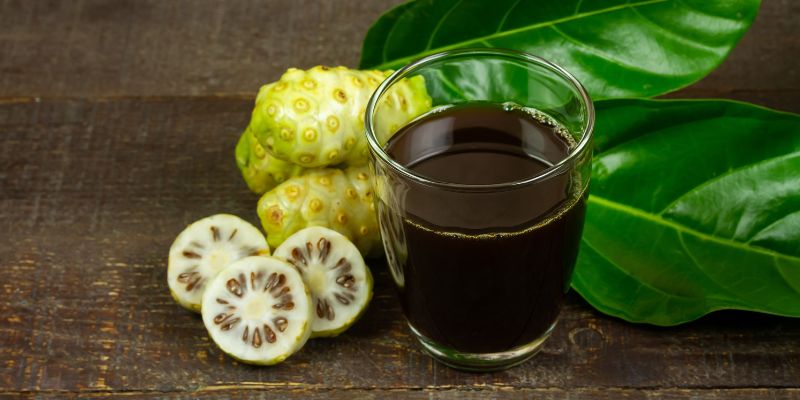 Buah Noni untuk Menurunkan Kadar Gula Darah Diabetes