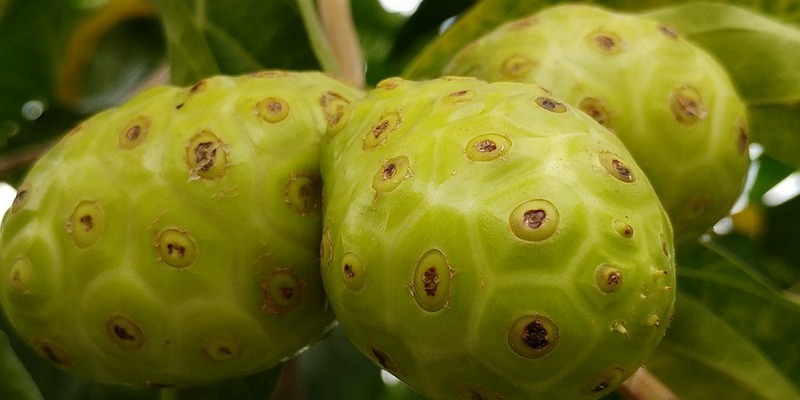 Terapi Pendukung Obat Pneumonia di Apotik K24