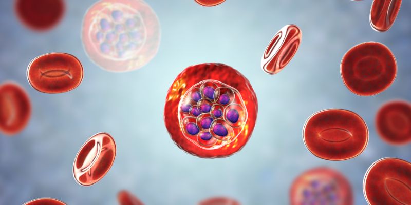 Ilustrasi penyebab malaria kambuh