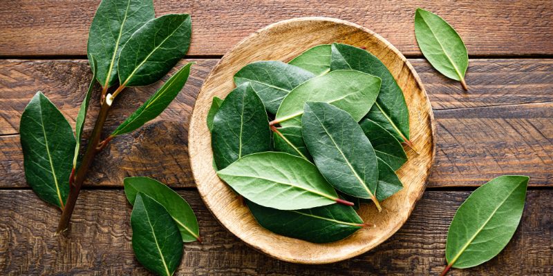 Ilustrasi Cara Merebus Daun Salam untuk Gula Darah