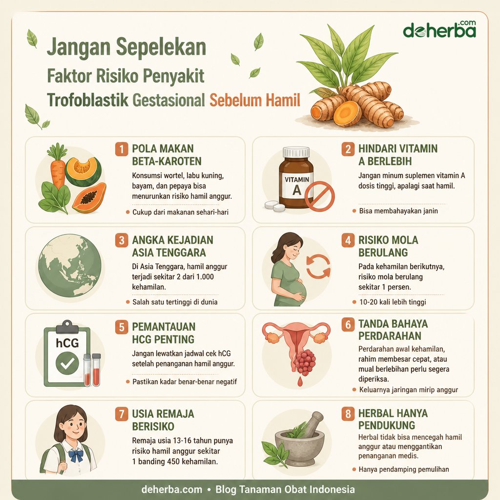 Infografis Jangan Sepelekan Faktor Risiko Penyakit Trofoblastik Gestasional Sebelum Hamil